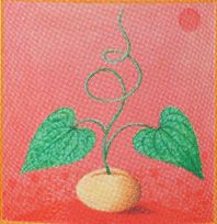 Zveleben� rum�lkov�ho pole